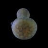 Chameleon Glass Amazeballs Sandblast Hand Pipe - Green - 2